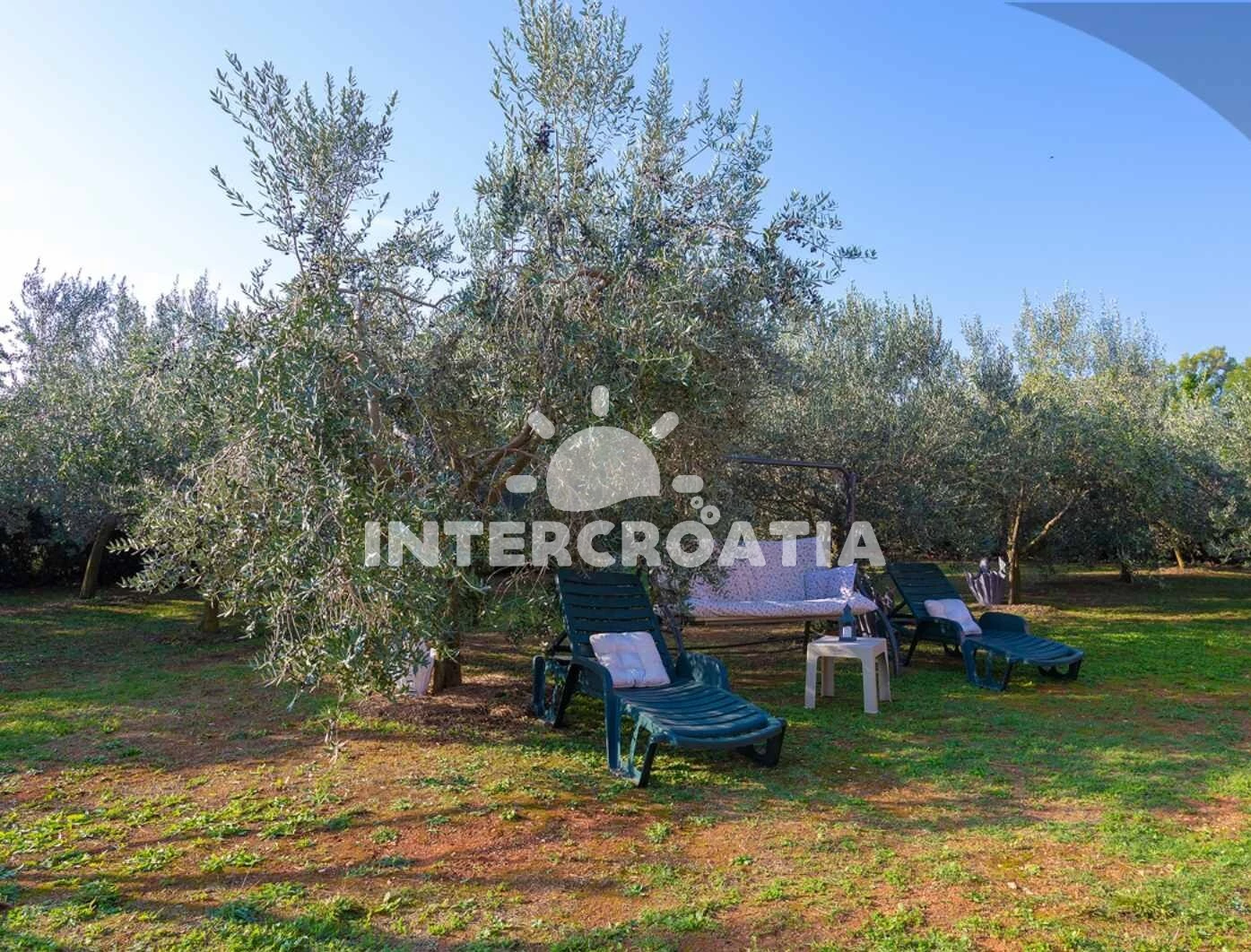 Domek Istrie - Ližnjan IS 7133 N1