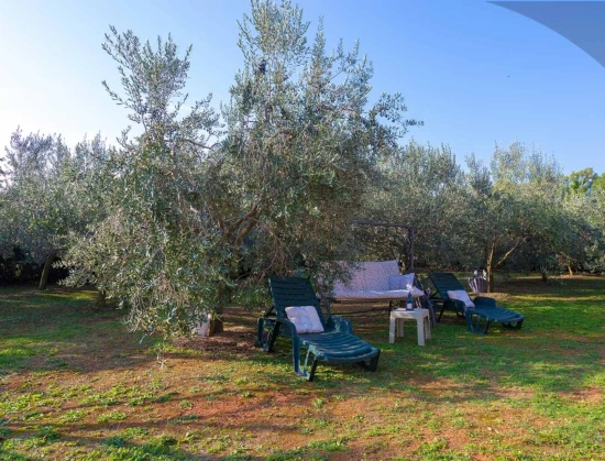 Domek Istrie - Ližnjan IS 7133 N1