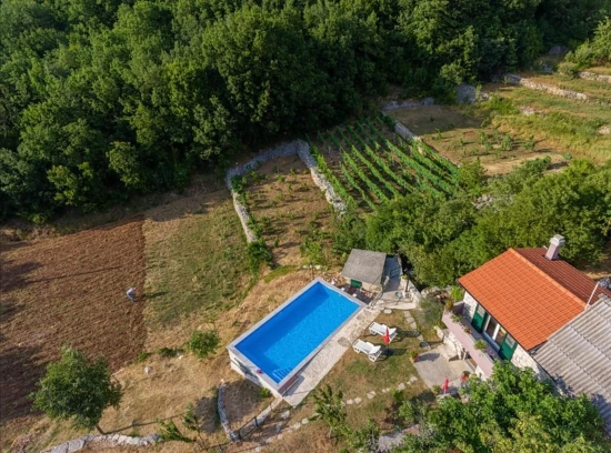 Domek Střední Dalmácie - Lovreć (Šestanovac) DA 8225 N1