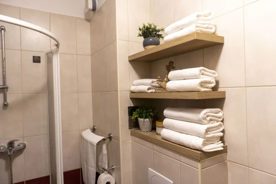 Apartmán Střední Dalmácie - Split DA 8226 N1