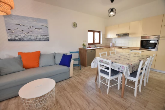 Domek Ostrov Ugljan - Guduće OS 10139 N1