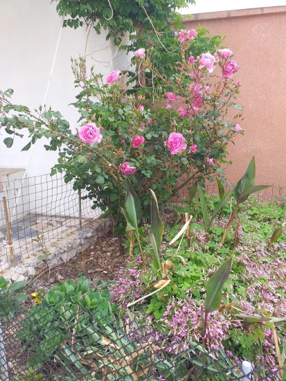 Apartmán Ostrov Pag - Metajna OS 10145 N1