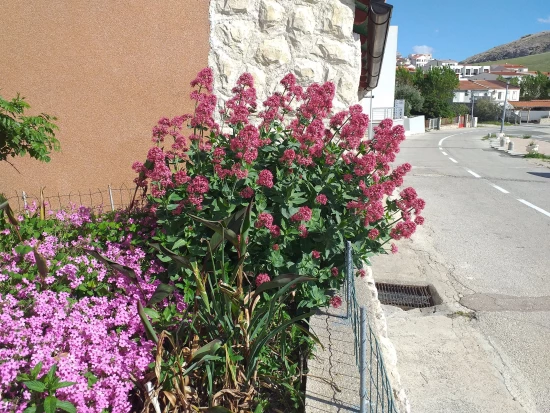 Apartmán Ostrov Pag - Metajna OS 10145 N1