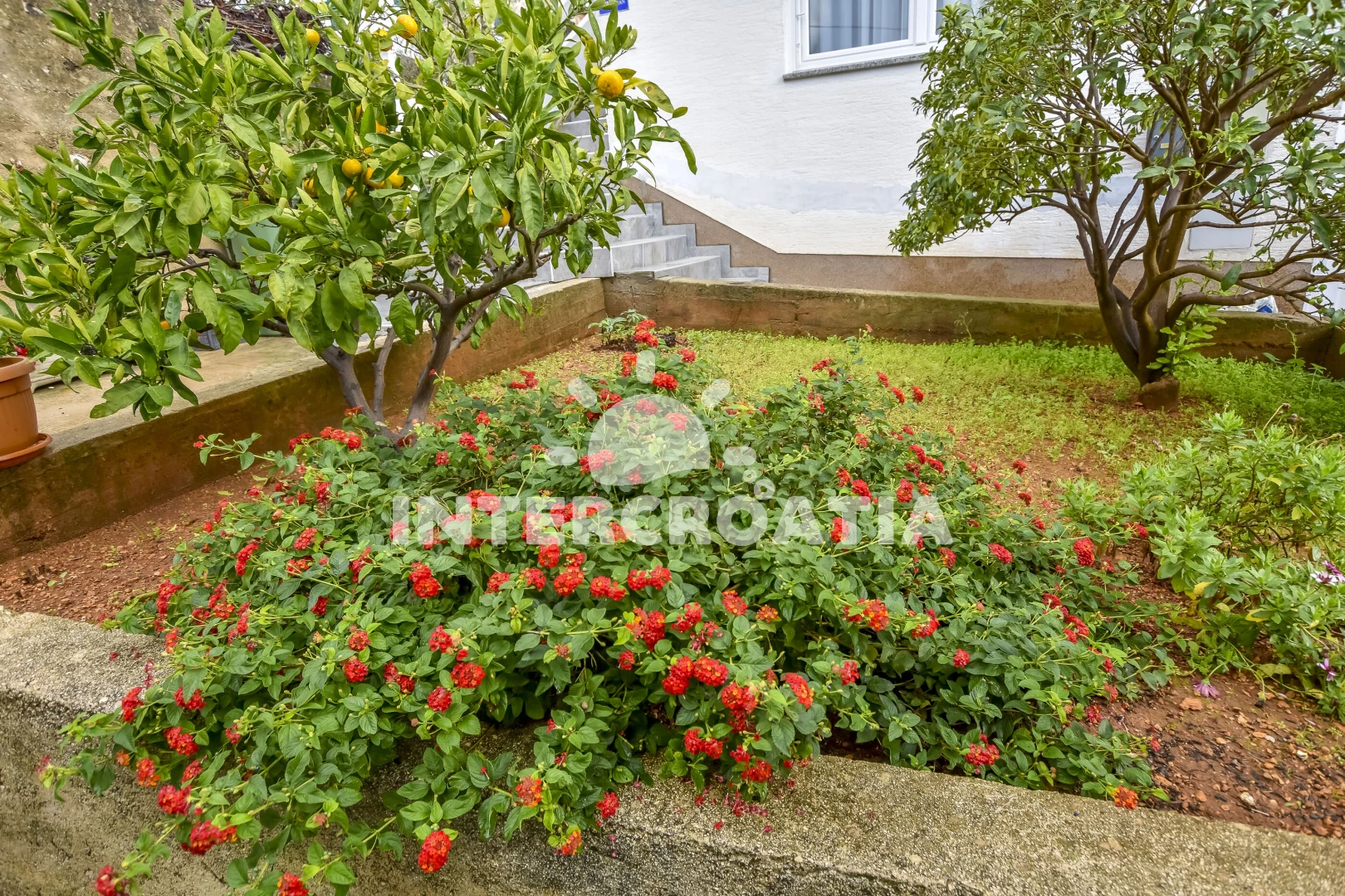 Apartmán Ostrov Ugljan - Kali OS 10146 N2