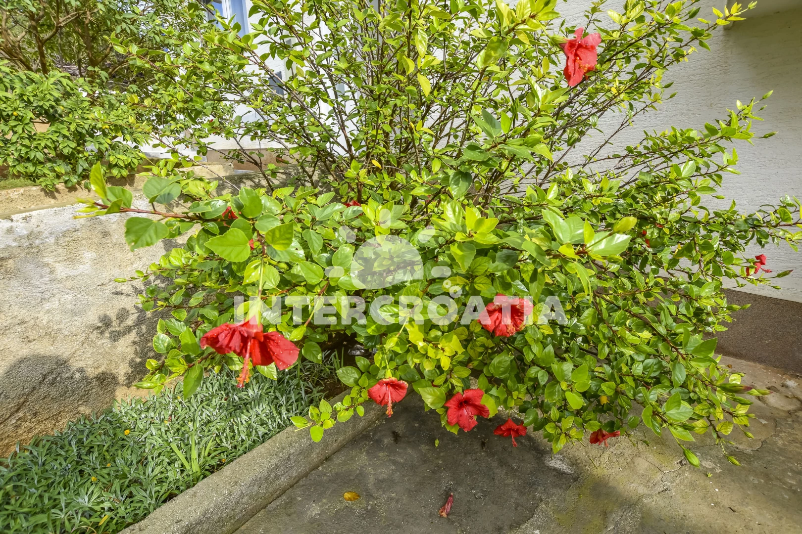 Apartmán Ostrov Ugljan - Kali OS 10146 N2