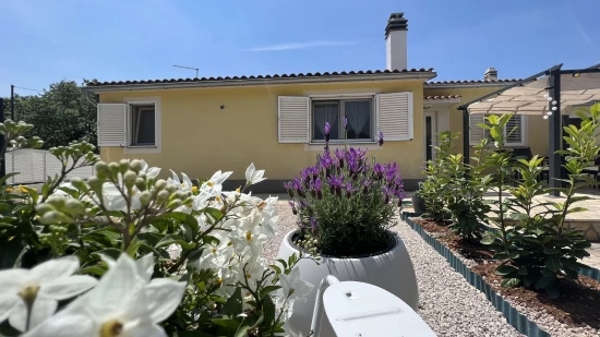 Domek Severní Dalmácie - Vodice DA 8247 N1