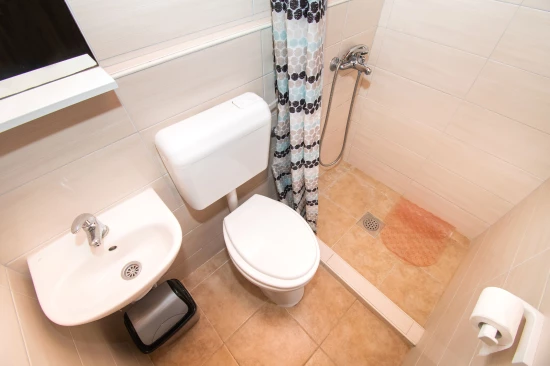 Domek Severní Dalmácie - Lišane Tinjske DA 8253 N1