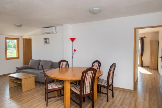 Domek Severní Dalmácie - Lišane Tinjske DA 8254 N1