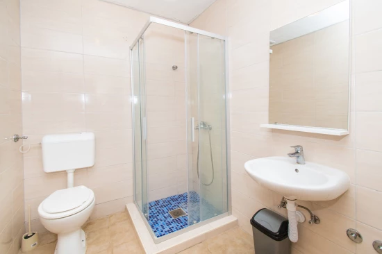 Domek Severní Dalmácie - Lišane Tinjske DA 8254 N1