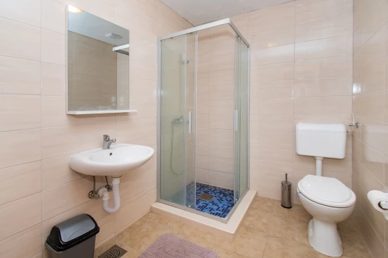 Domek Severní Dalmácie - Lišane Tinjske DA 8254 N1