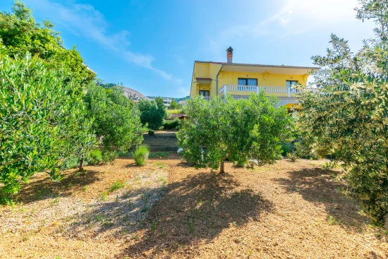 Apartmán Ostrov Rab - Barbat OS 10158 N1