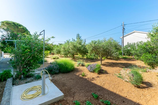 Apartmán Ostrov Rab - Barbat OS 10158 N1