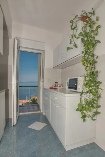 Apartmán Střední Dalmácie - Podgora DA 8266 N1