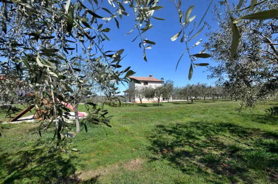 Domek Istrie - Lašići IS 7137 N1