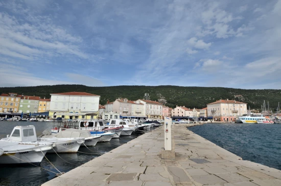 Domek Ostrov Cres - Cres OS 10164 N1