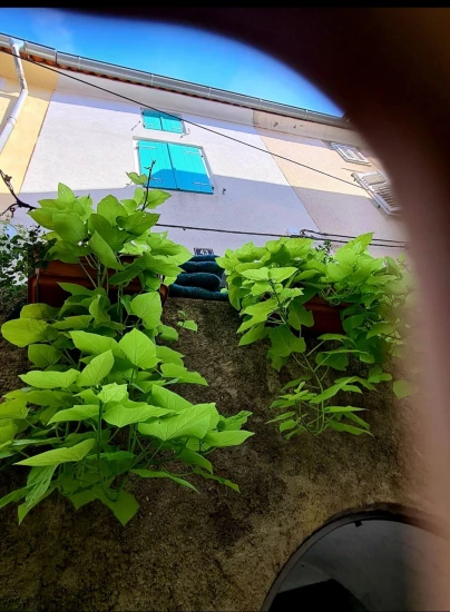 Domek Ostrov Cres - Cres OS 10164 N1