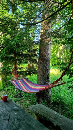 Domek Kvarner - Begovo Razdolje (Crikvenica) KV 7560 N1