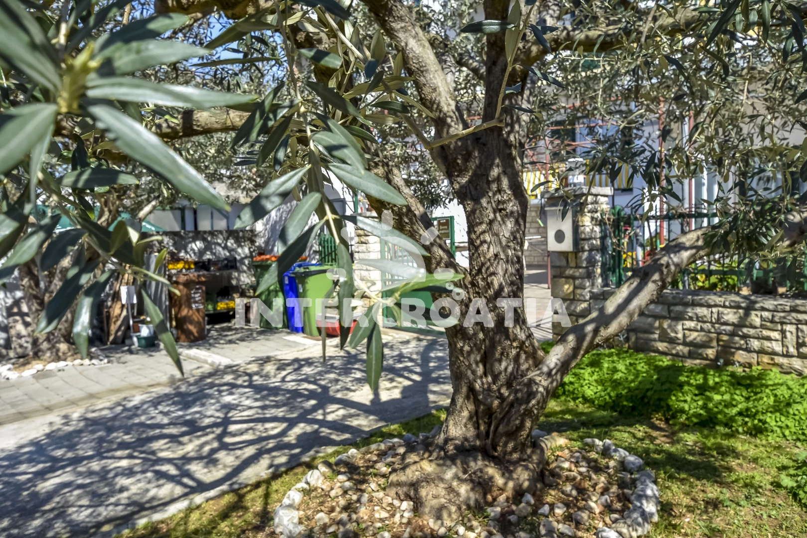 Apartmán Severní Dalmácie - Biograd na Moru DA 8282 N1