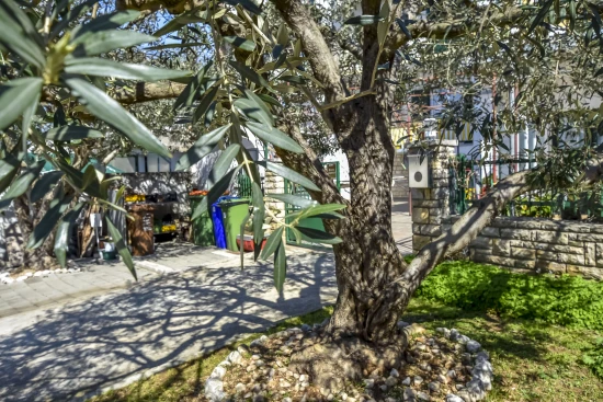 Apartmán Severní Dalmácie - Biograd na Moru DA 8282 N1