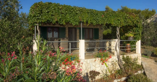 Domek Ostrov Šolta - Maslinica OS 10168 N1