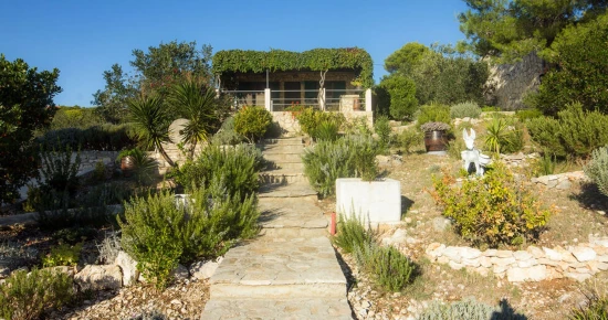 Domek Ostrov Šolta - Maslinica OS 10168 N1