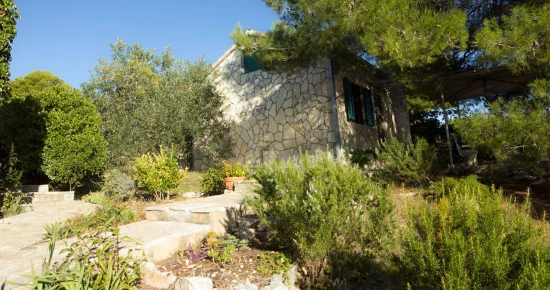 Domek Ostrov Šolta - Maslinica OS 10168 N1