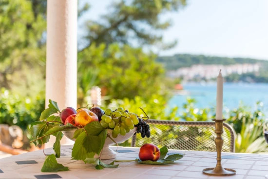 Domek Ostrov Šolta - Nečujam OS 10172 N1