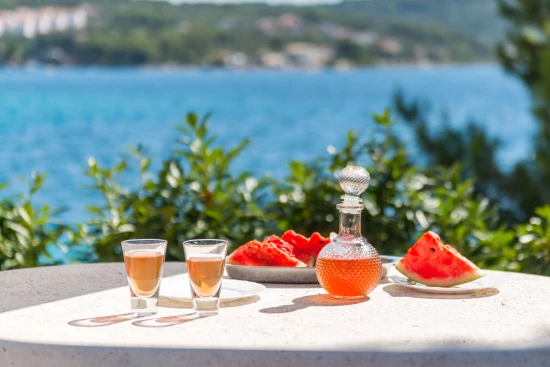 Domek Ostrov Šolta - Nečujam OS 10172 N1