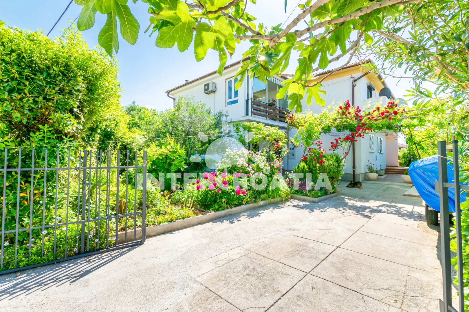 Apartmán Ostrov Rab - Barbat OS 10176 N1