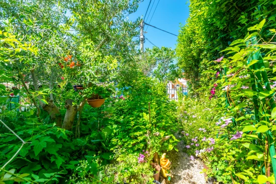 Apartmán Ostrov Rab - Barbat OS 10176 N1