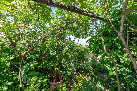 Apartmán Ostrov Rab - Barbat OS 10176 N1