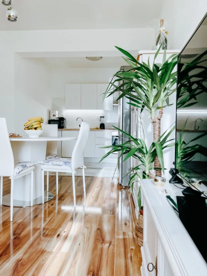 Apartmán Střední Dalmácie - Split DA 8303 N1