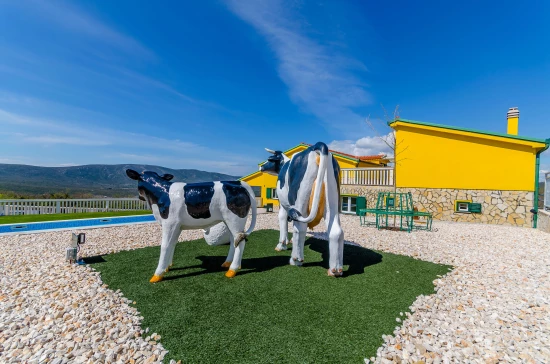 Domek Střední Dalmácie - Lećevica DA 8306 N1