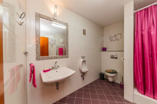 Domek Střední Dalmácie - Lećevica DA 8306 N1