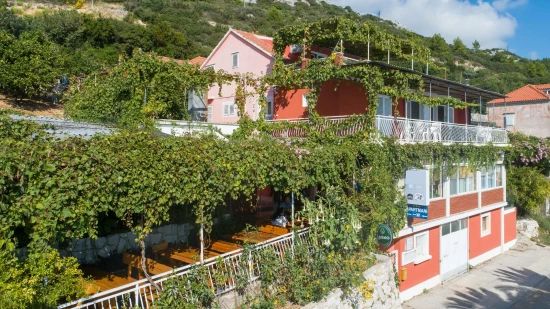 Apartmán Jižní Dalmácie - Kućište (Orebić) DA 8311 N5