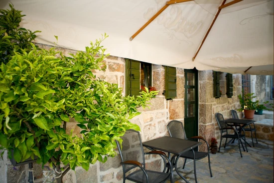 Domek Severní Dalmácie - Starigrad Paklenica DA 8319 N1