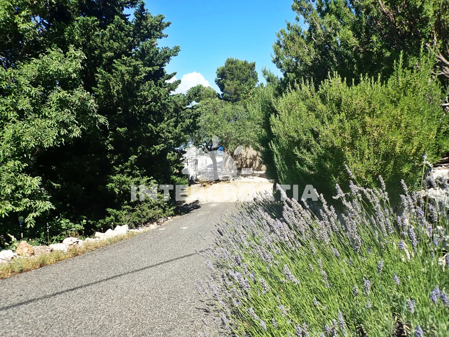 Apartmán Severní Dalmácie - Tribanj (Starigrad) DA 8327 N1