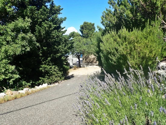 Apartmán Severní Dalmácie - Tribanj (Starigrad) DA 8327 N1