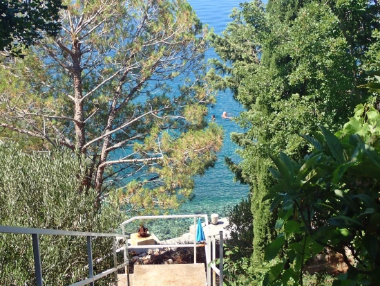 Apartmán Severní Dalmácie - Tribanj (Starigrad) DA 8327 N1