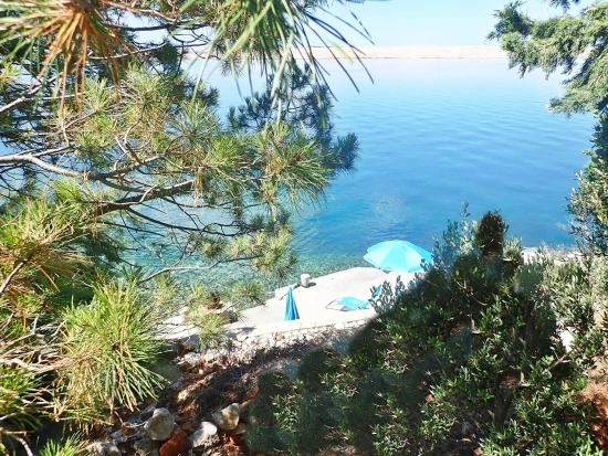 Apartmán Severní Dalmácie - Tribanj (Starigrad) DA 8327 N1