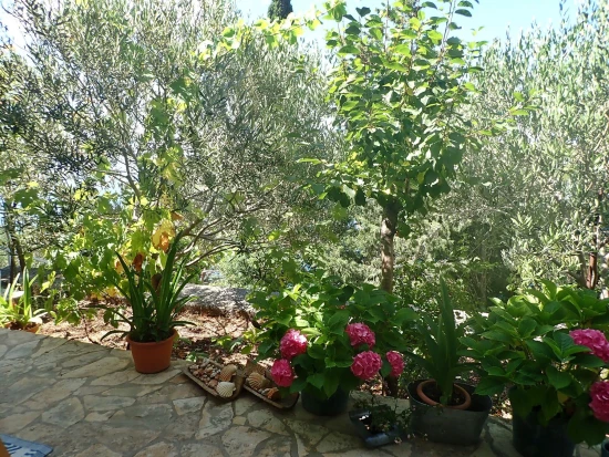 Apartmán Severní Dalmácie - Tribanj (Starigrad) DA 8327 N1