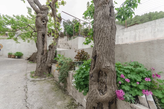 Apartmán Severní Dalmácie - Rupe (Krka) DA 8354 N2