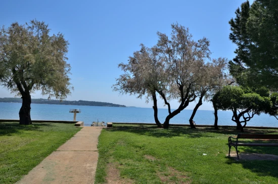 Apartmán Istrie - Novigrad IS 7151 N1