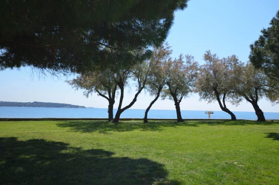 Apartmán Istrie - Novigrad IS 7151 N1