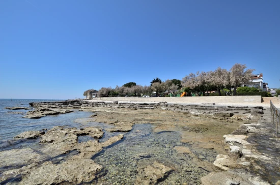 Apartmán Istrie - Novigrad IS 7151 N1