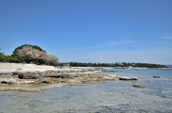 Apartmán Istrie - Novigrad IS 7151 N1