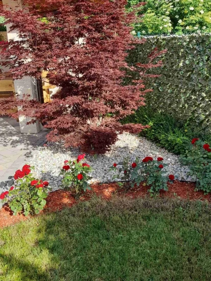 Domek Kvarner - Šapjane KV 7583 N1