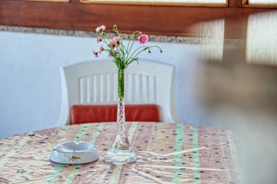 Domek Istrie - Banjole IS 7156 N1