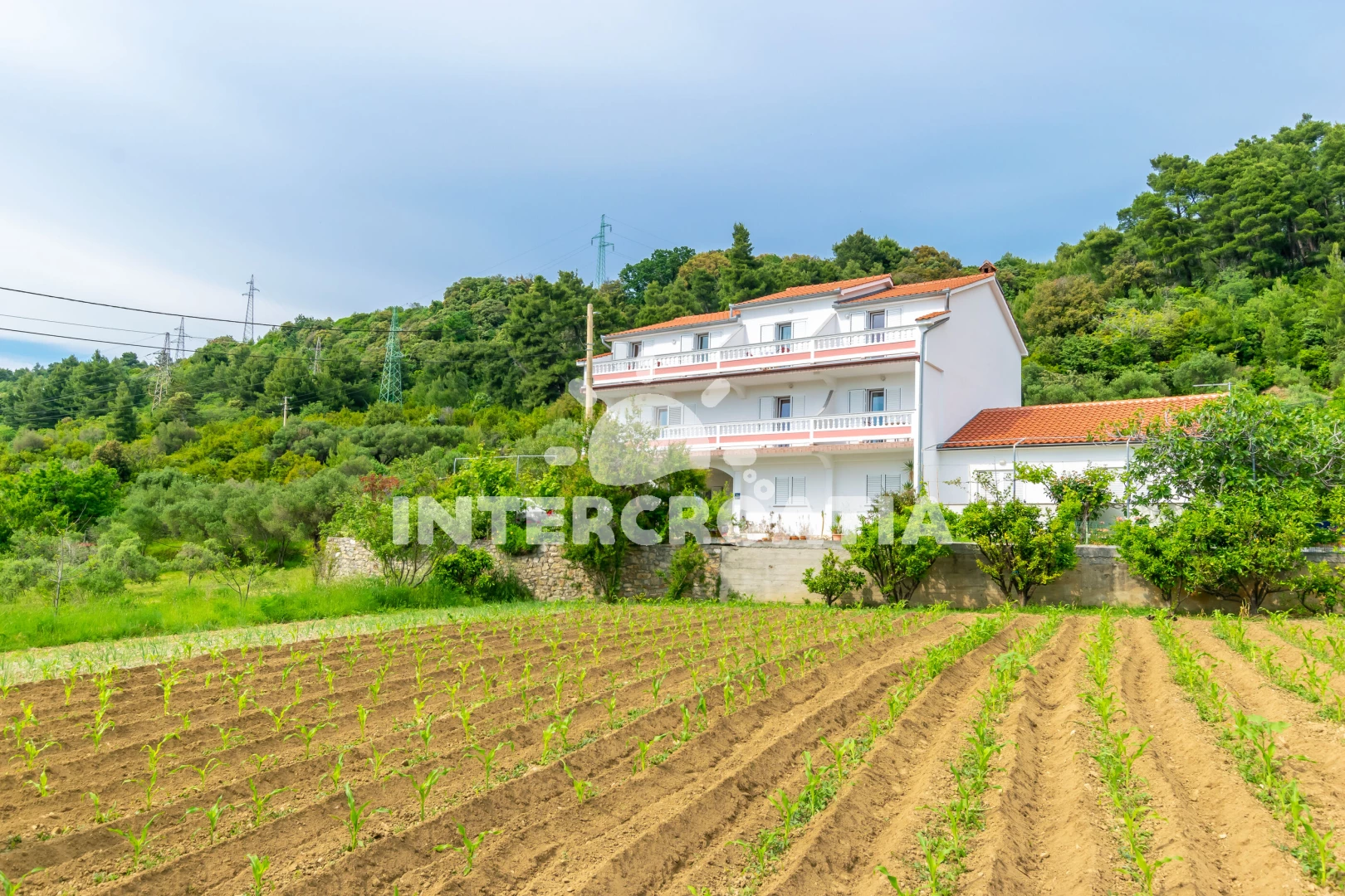 Apartmán Ostrov Rab - Palit OS 10209 N1