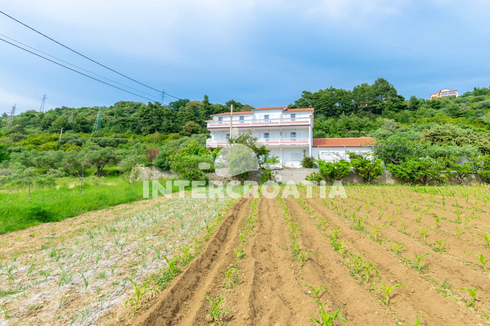 Apartmán Ostrov Rab - Palit OS 10209 N2